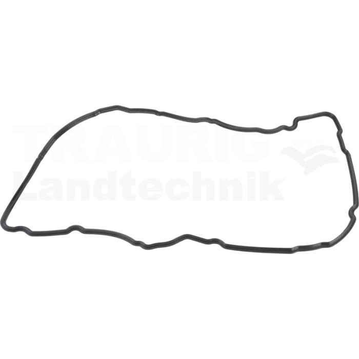 Ventildeckeldichtung 1
