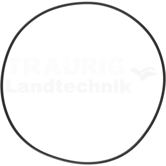 O-Ring Ø160x3