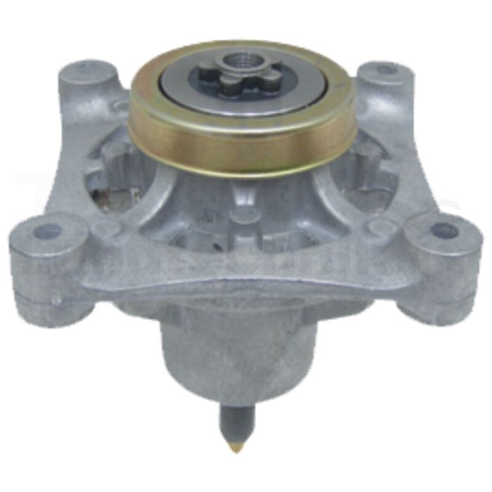 Messerspindel