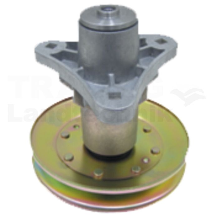 Messerspindel Messerspindel