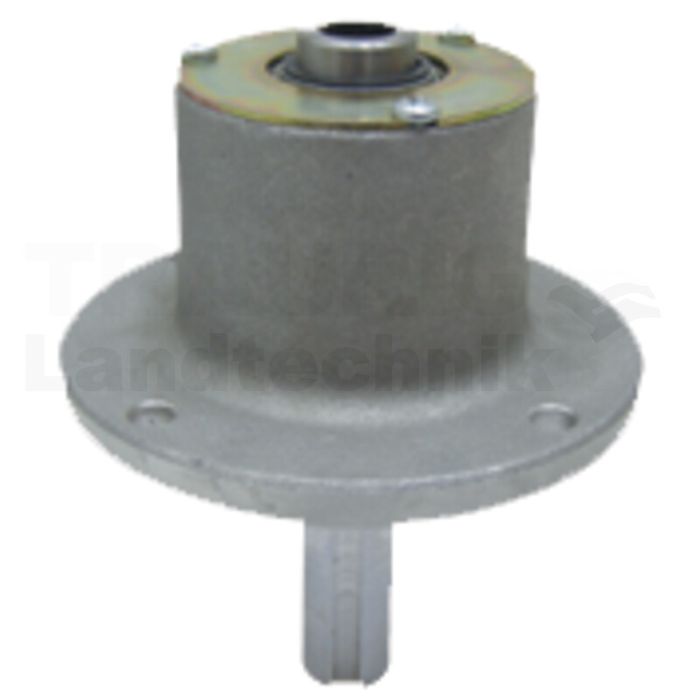 Messerspindel Messerspindel