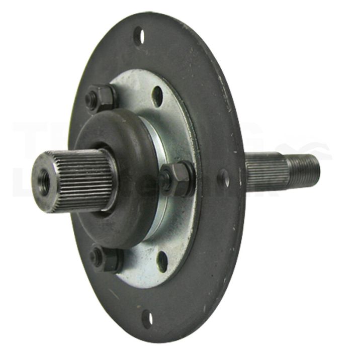 Messerspindel Messerspindel