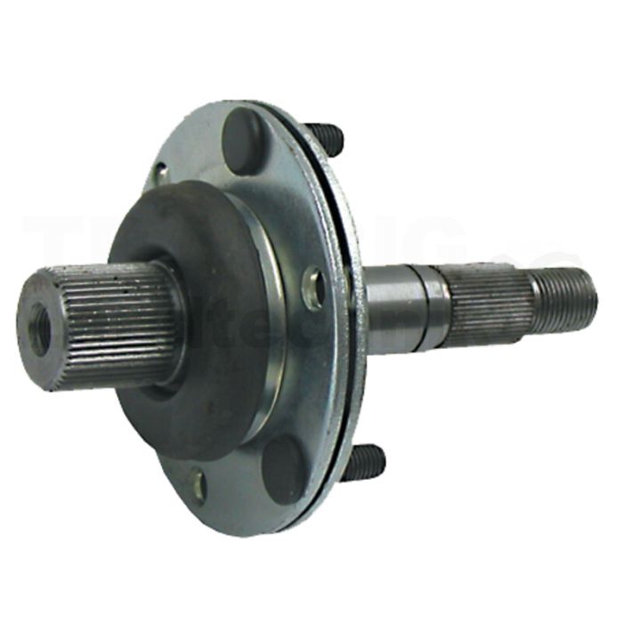 Messerspindel Messerspindel
