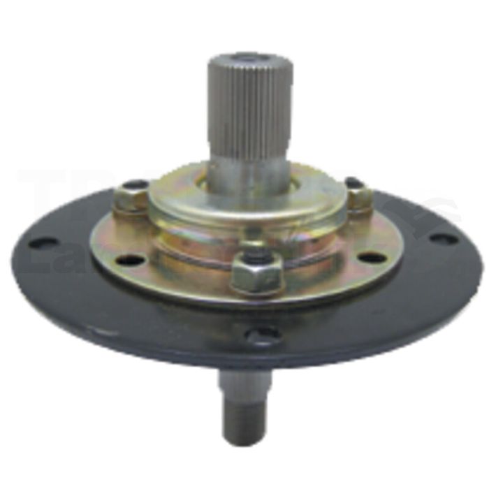 Messerspindel Messerspindel
