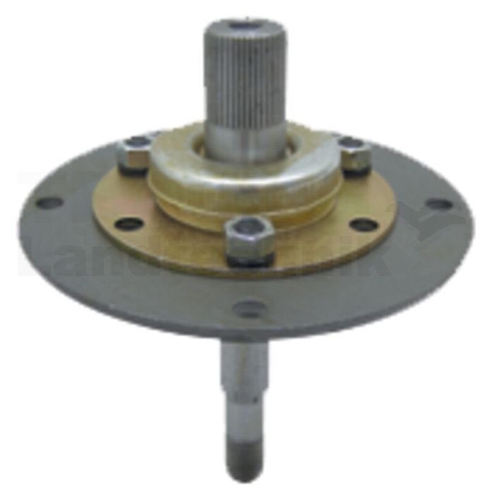 Messerspindel Messerspindel