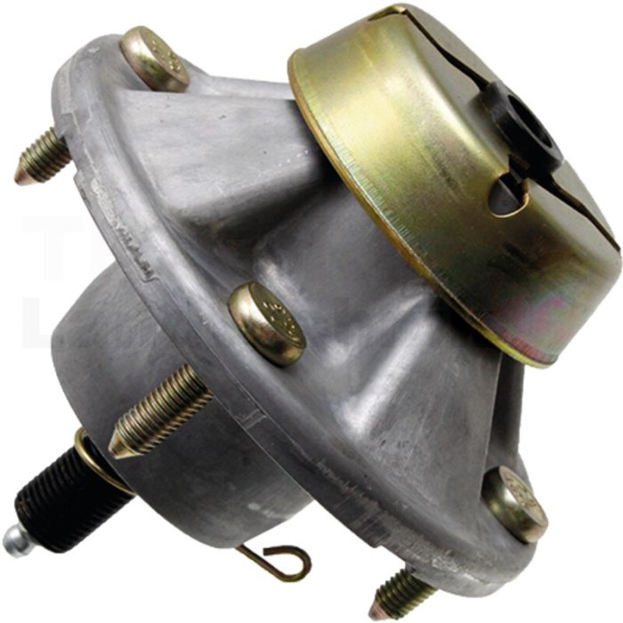 Messerspindel Messerspindel