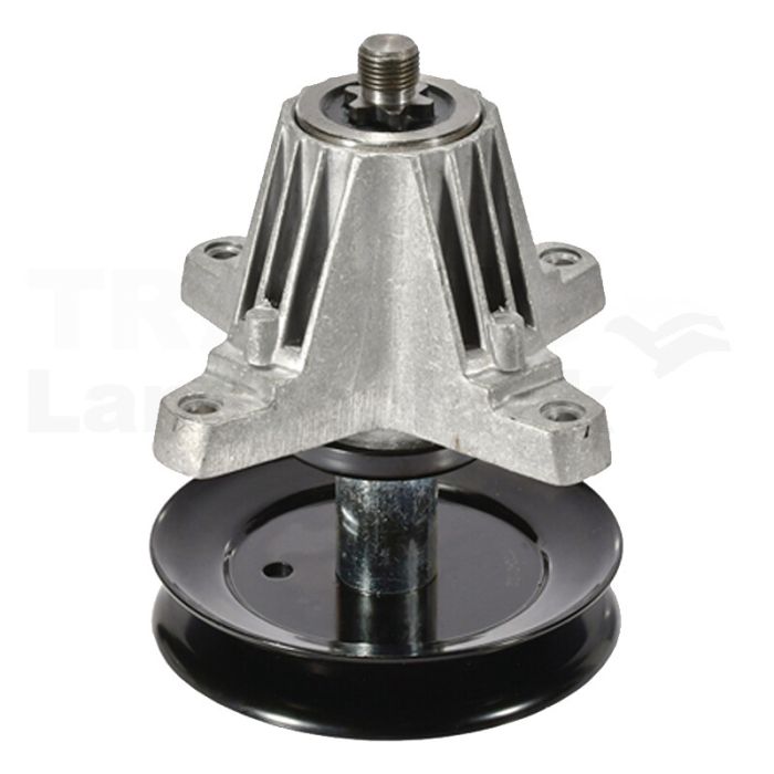 Messerspindel Messerspindel
