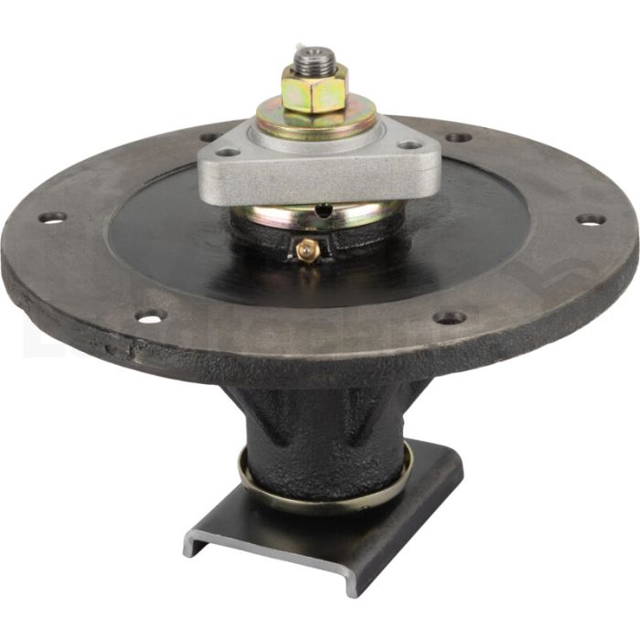 Messerspindel Messerspindel