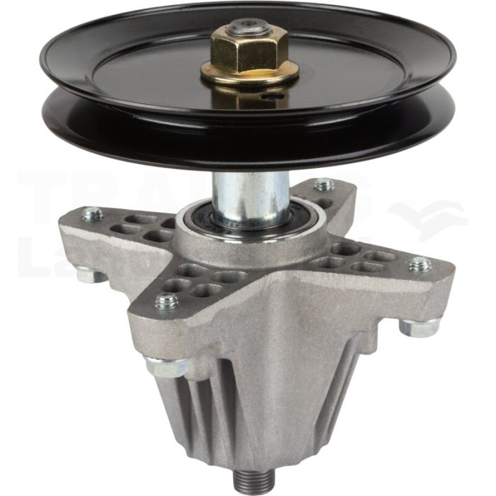Messerspindel Messerspindel