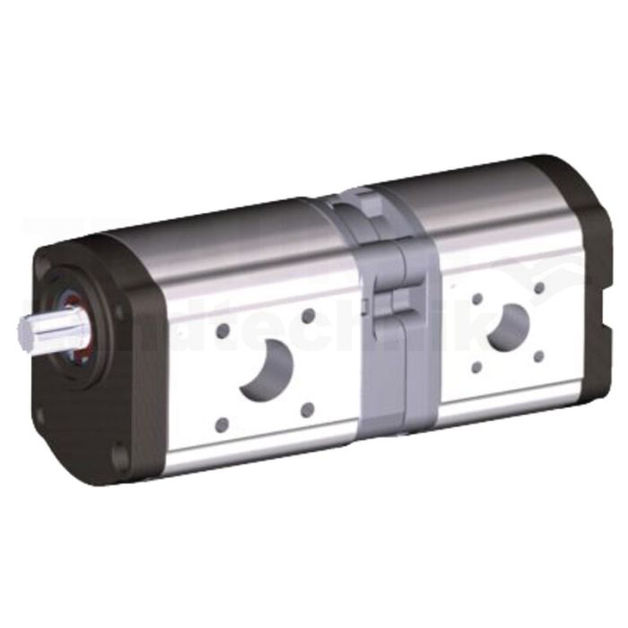 Doppelpumpe