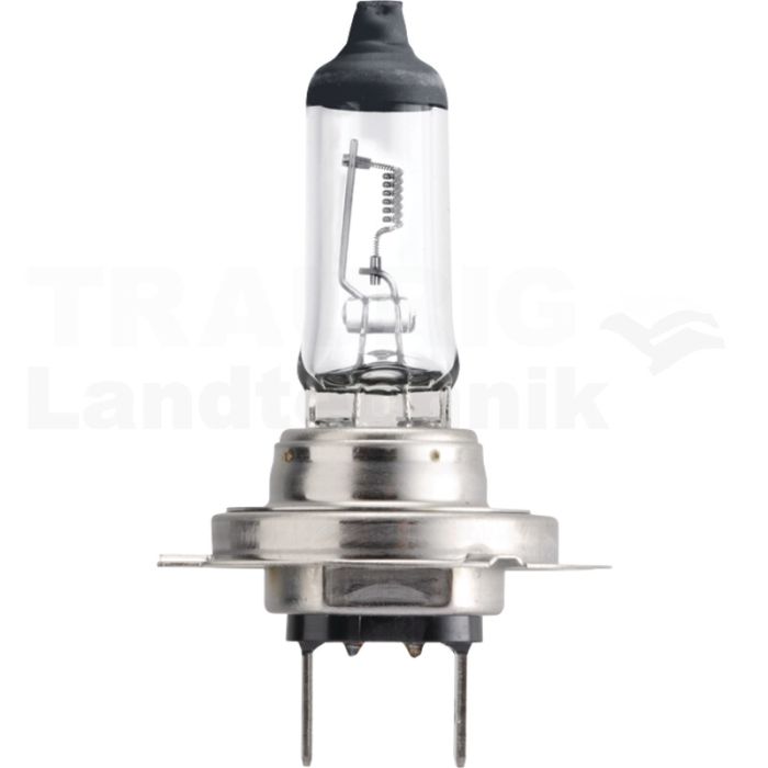 Halogenlampe H7