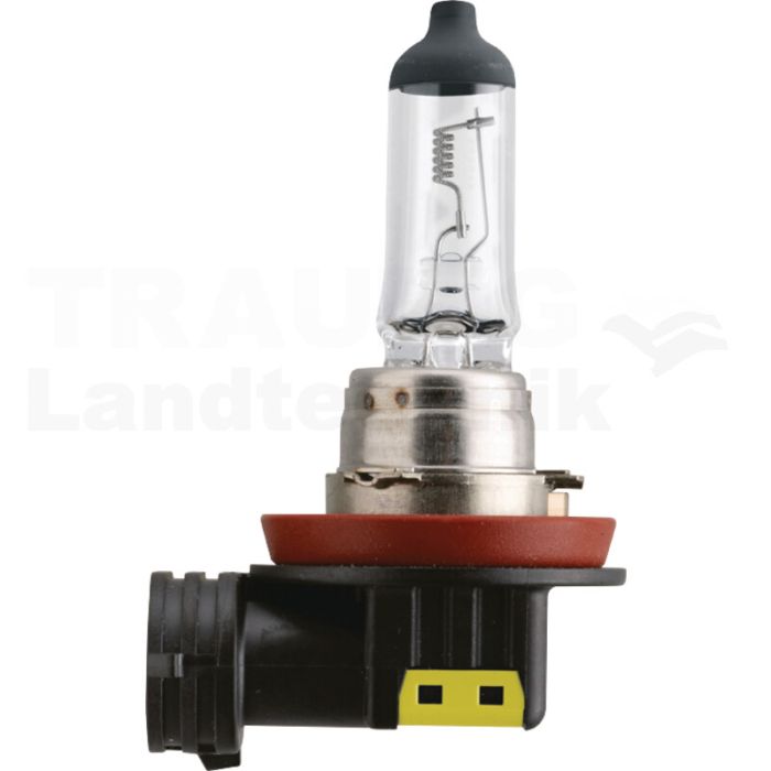 Halogenlampe H11