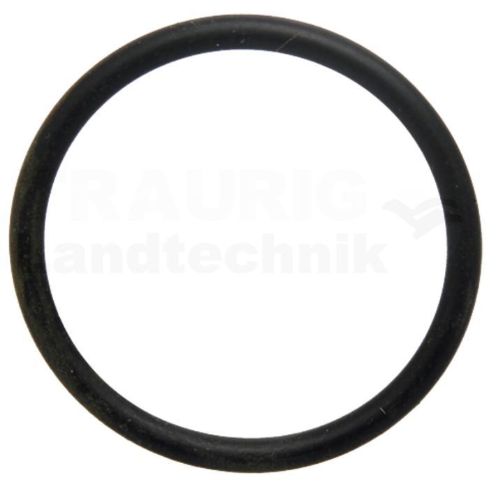 O Ring 28 x 2,5 O Ring 28 x 2,5