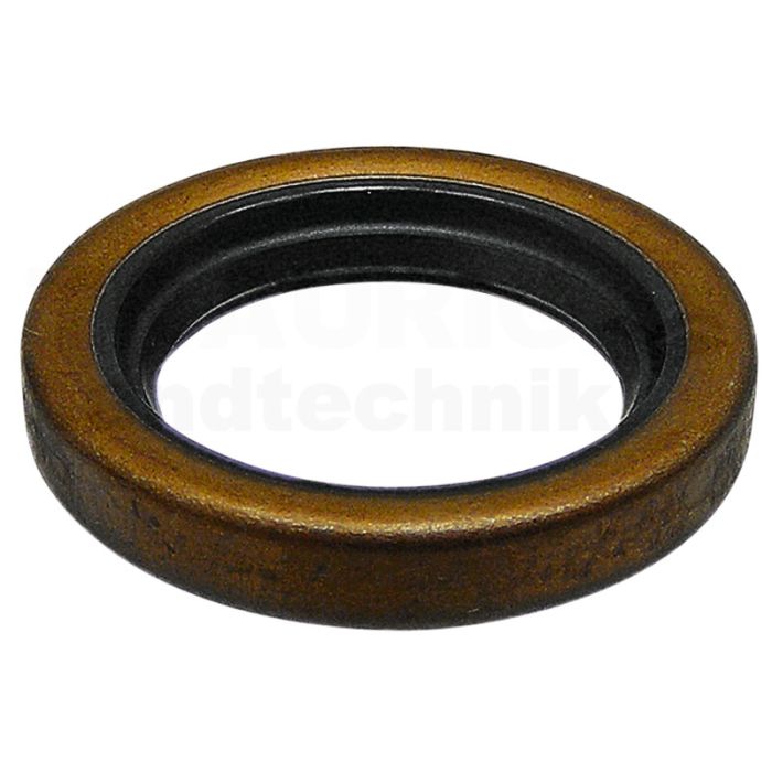 Wellendichtring 25,4x38,1