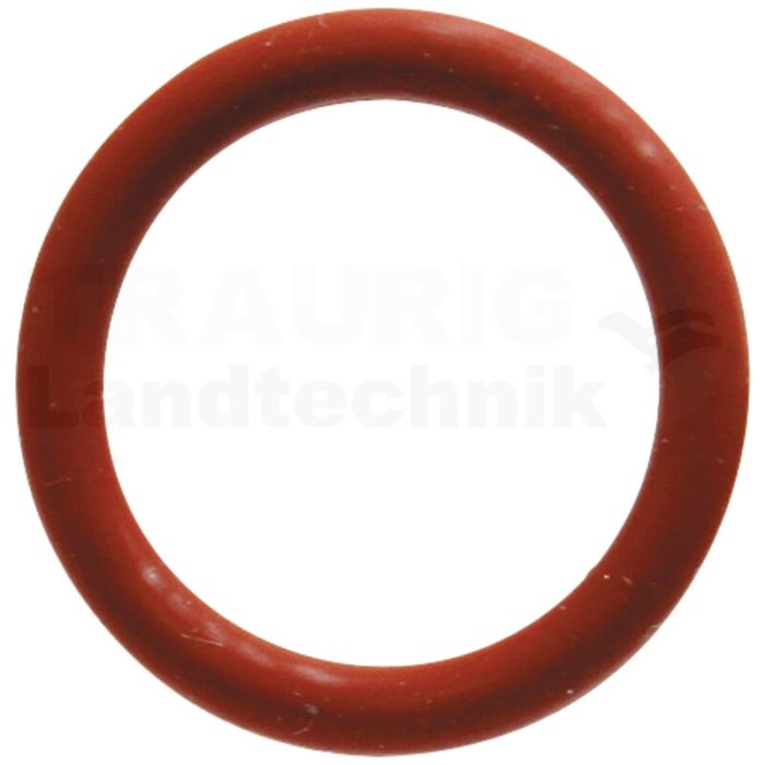 Dichtring