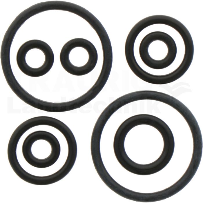 O-Ring Satz