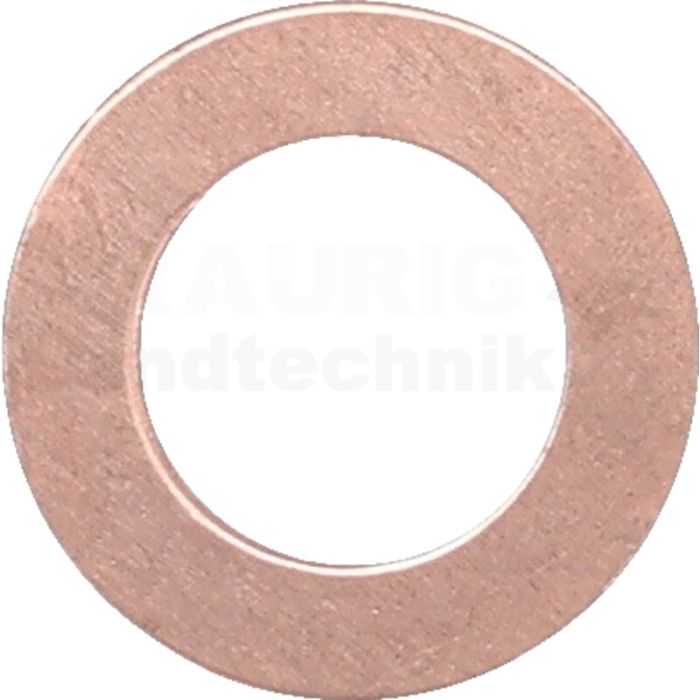 Dichtring (0,1 mm)