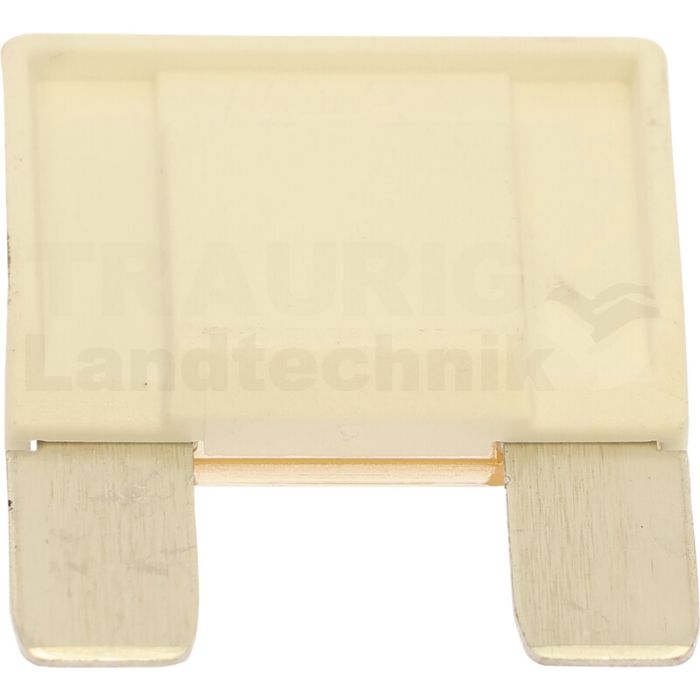 Flachstecksicherung, Maxi