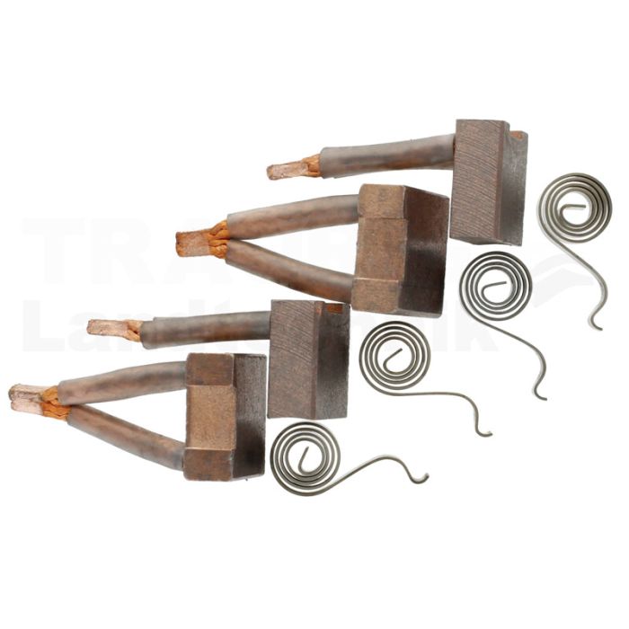 Kohlebürsten Satz