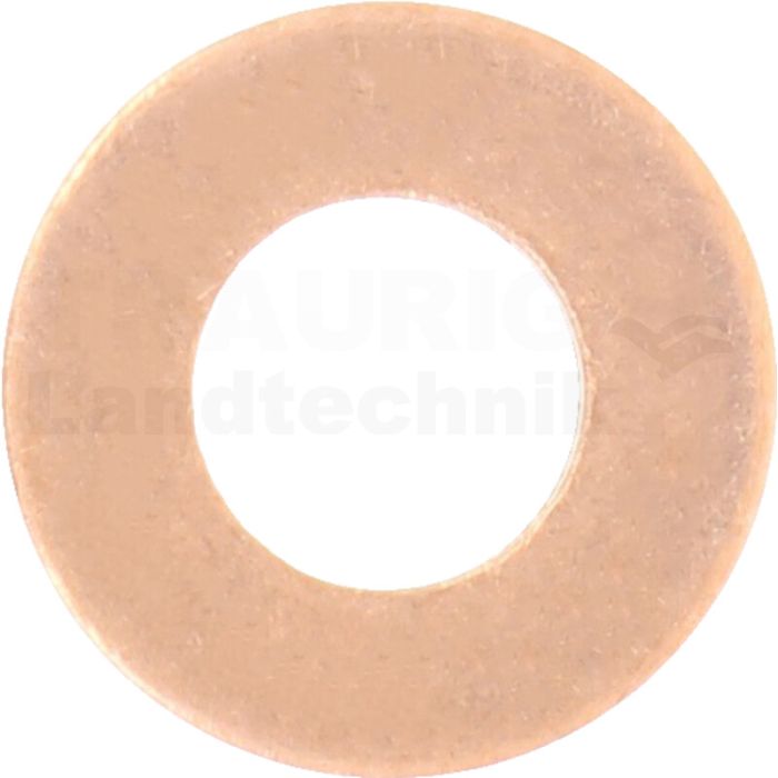 Dichtring