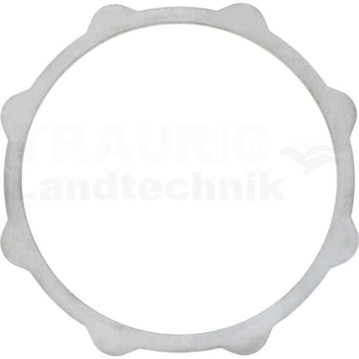 Druckscheibe