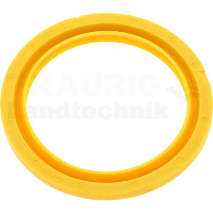Dichtring