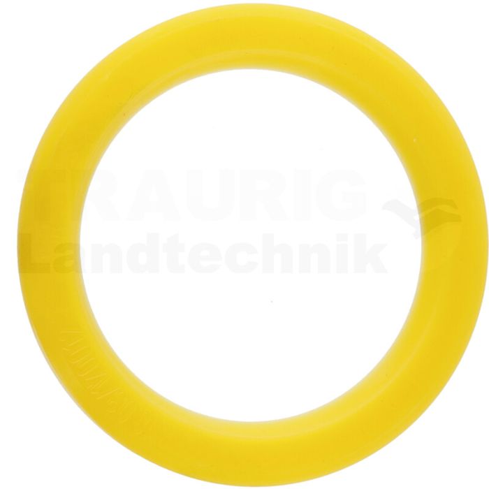 Dichtring