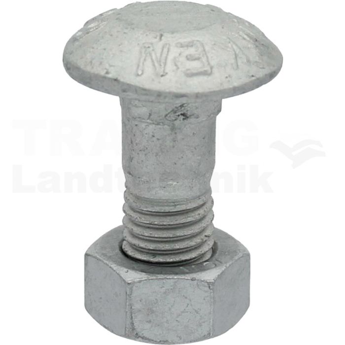 Flachrundschr. +Mutter M12x30-10.9 MU Z Flachrundschr. +Mutter M12x30-10.9 MU Z