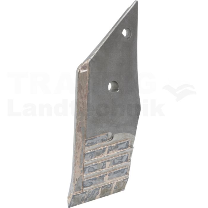 Spitze Tungsten Carbide 