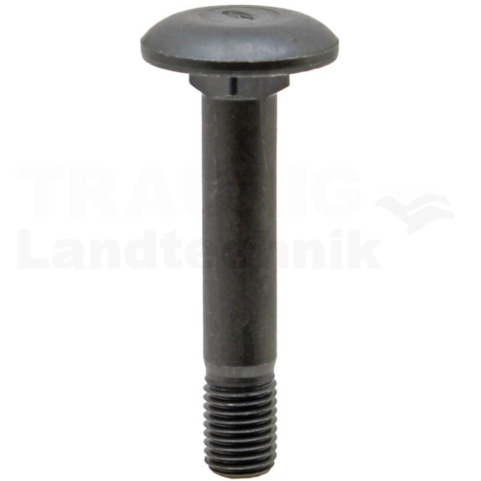 Flachrundschraube M16x90