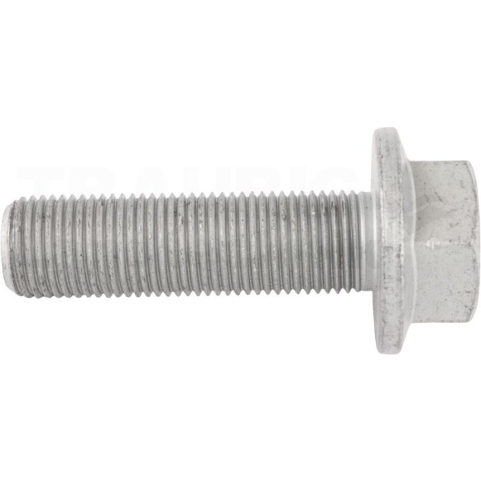 Schraube 16 x 1,5 x 55