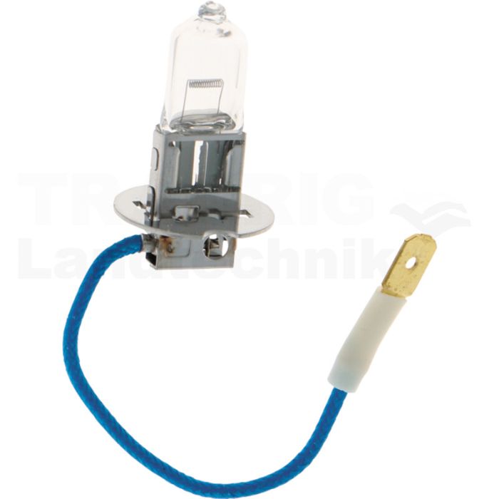 Halogenlampe H3