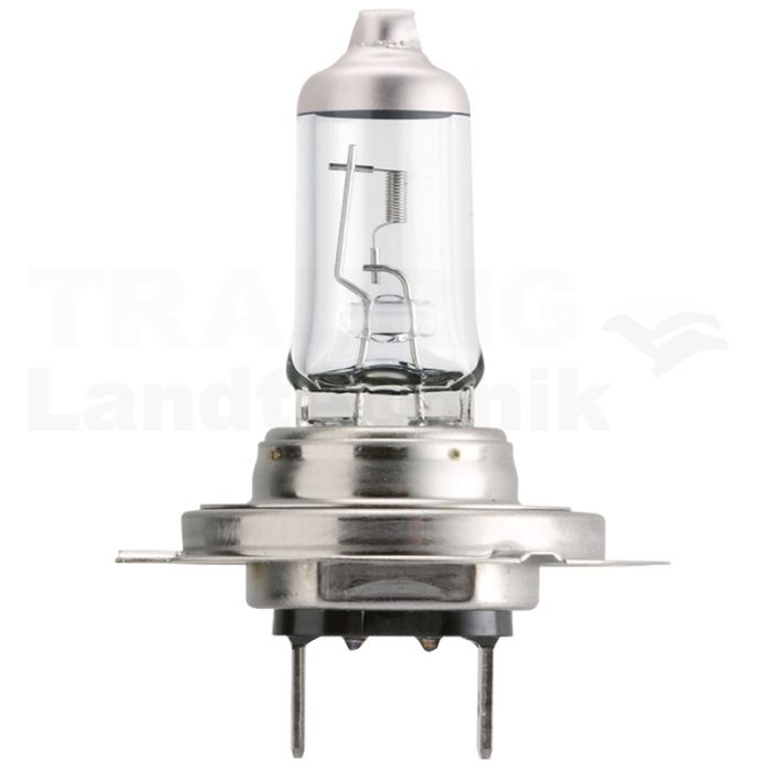 Halogenlampe H7