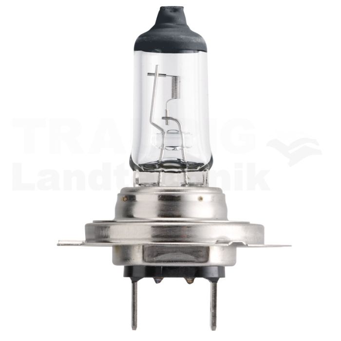 Halogenlampe H7