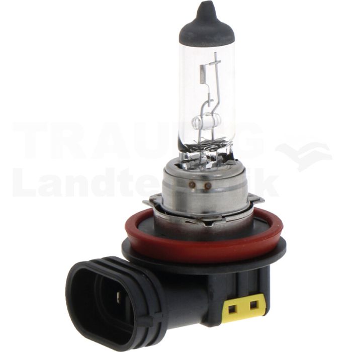 Halogenlampe H8