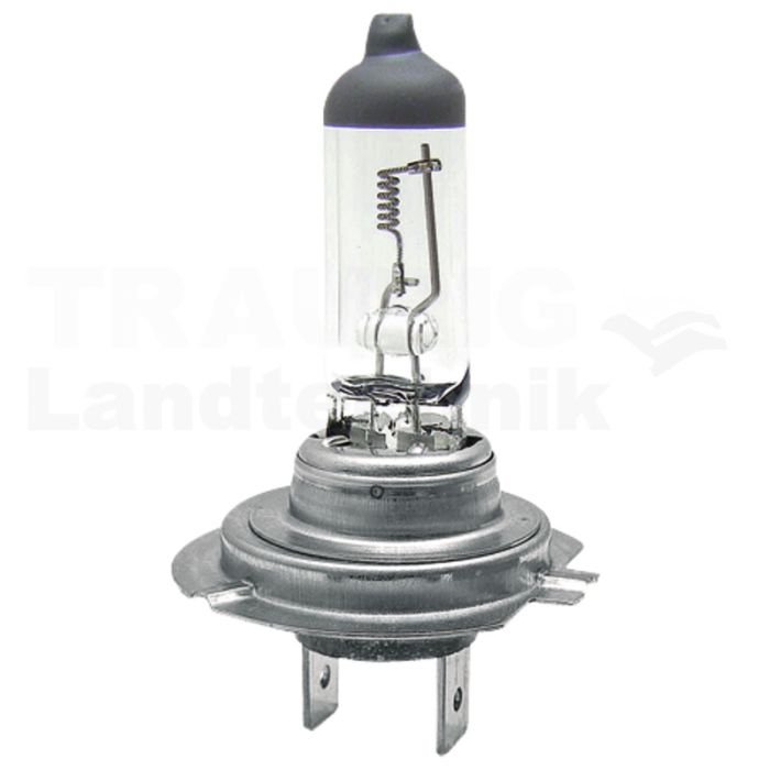 Halogenlampe H7