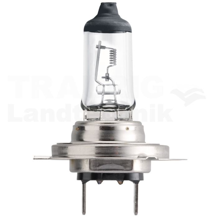 Halogenlampe H7