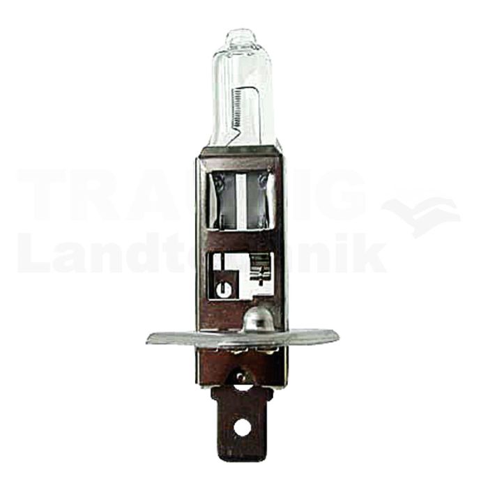 Halogenlampe H1 Halogenlampe H1