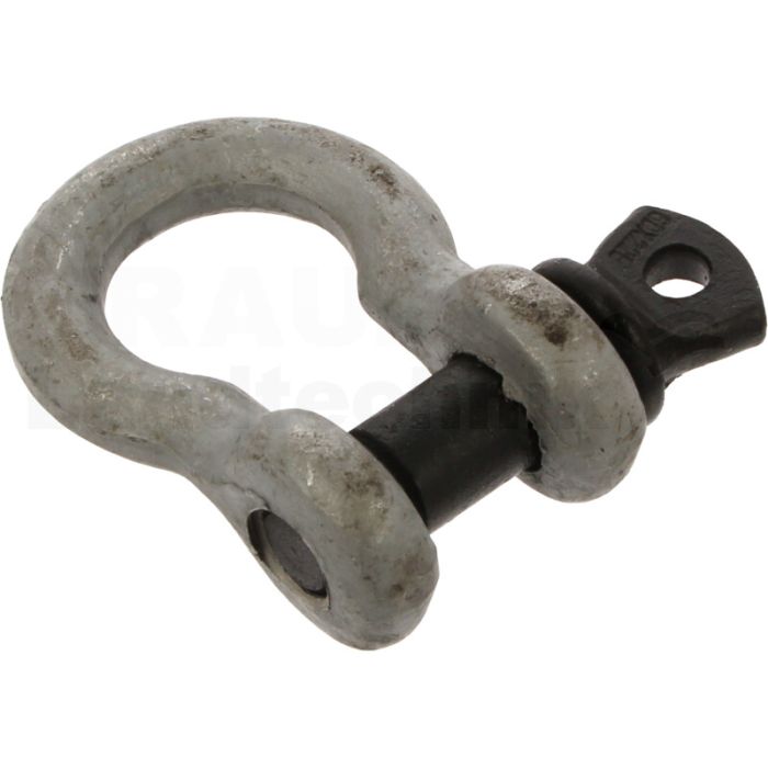 Schäkel geschweift