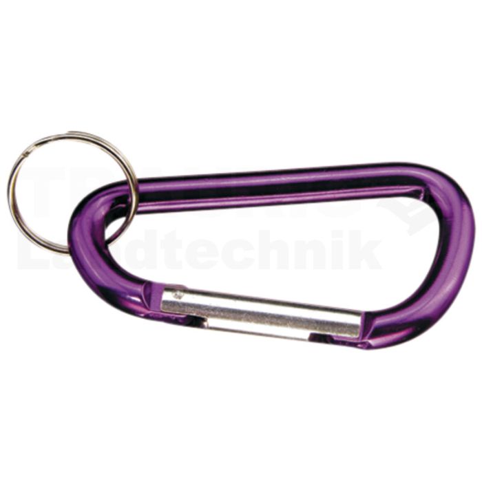 Schlüsselkarabiner