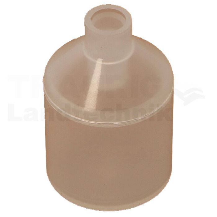BFS Schwimmer