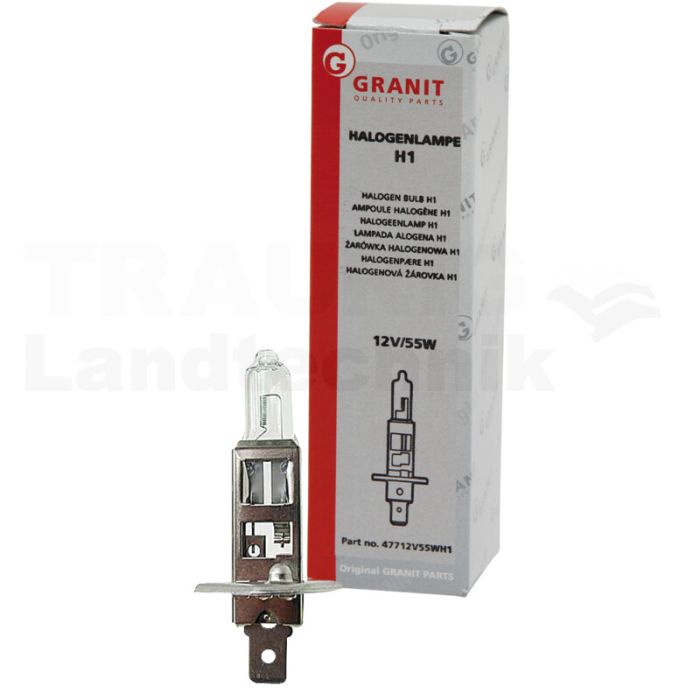 Halogenlampe H1