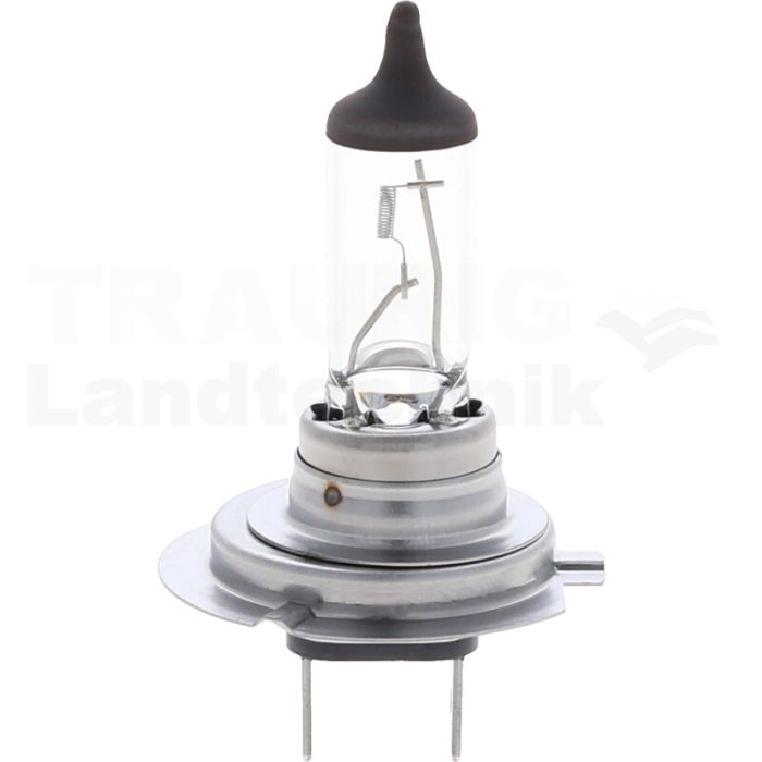 Halogenlampe H7