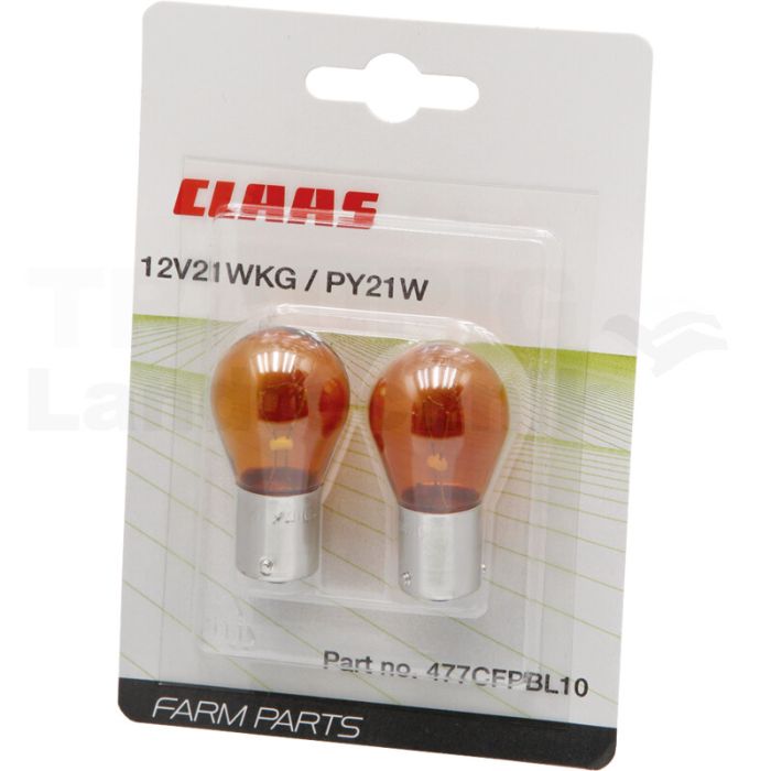 Blister Glühlampe