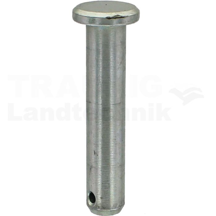 Bolzen 12x60 DIN 1444 Bolzen 12x60 DIN 1444