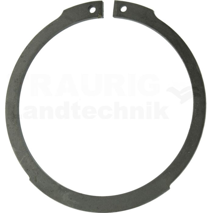 Sicherungsring