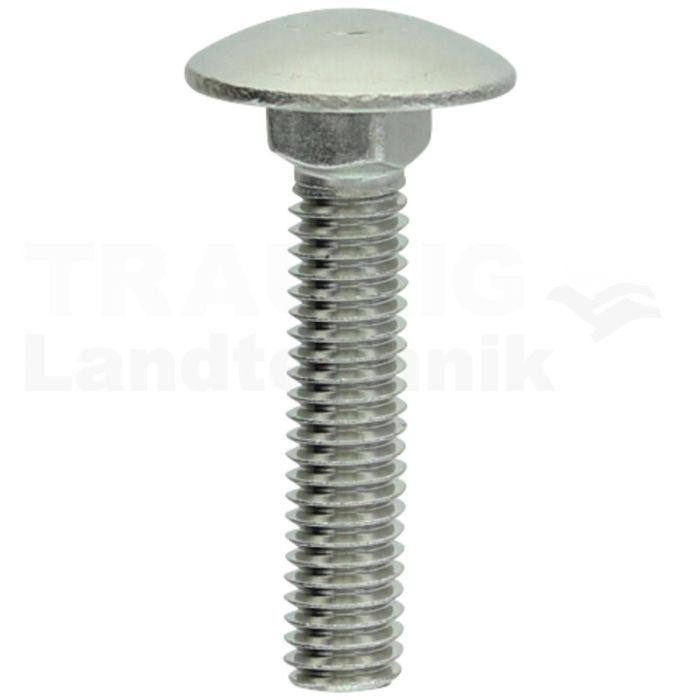 Schlossschraube M6x30 DIN 603