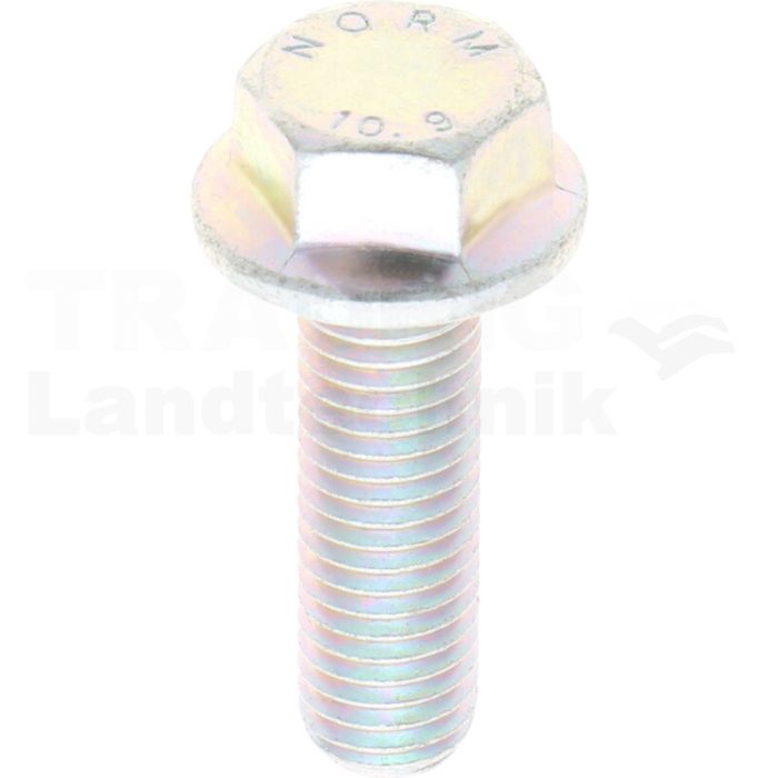 Sechskantschraube mit Flansch M12x40 Sechskantschraube mit Flansch M12x40