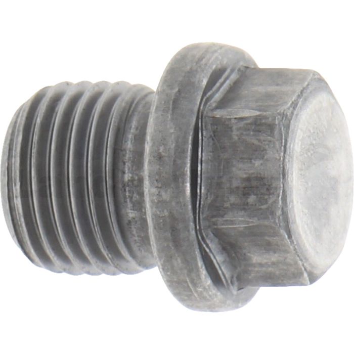 Verschlussschraube G 1/4" DIN 910