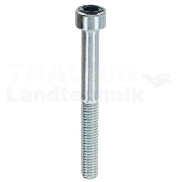 Zylinderschraube M5x45 DIN 912